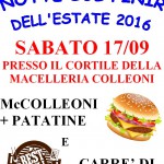 LOCANDINA NOTTE BIANCA 16 (2)